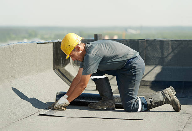 Best Spray Foam Insulation in Mccom, MS