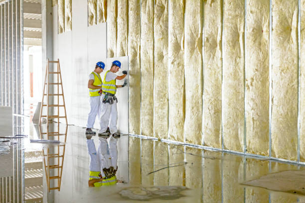 Best Insulation for Specific Applications in Mccom, MS